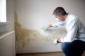 Mold Documentation for Insurance Claims in Timberlane, IL